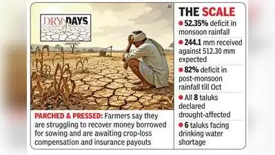 Haveri: A severe monsoon failure has pushed Haveri district: The wider industry impact