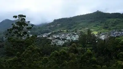 Kerala HC seeks details of Munnar digital land survey