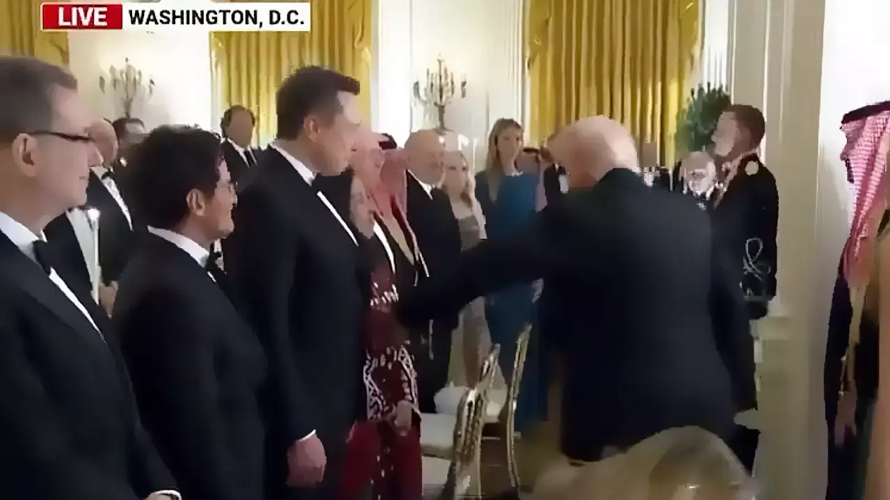 US President Donald Trump and Tesla CEO Elon Musk: The wider industry impact