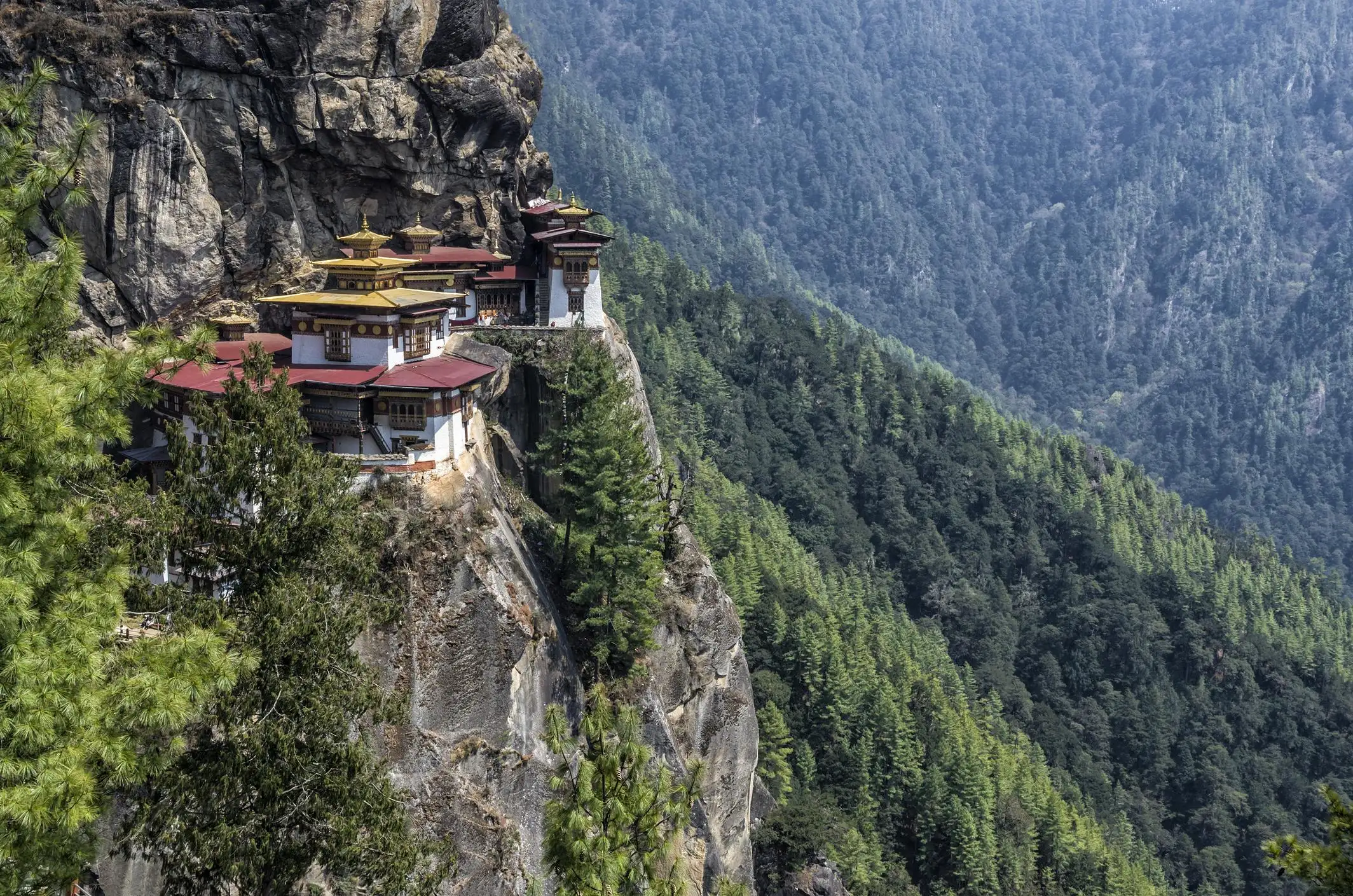 With flight fares remaining steep, many travellers are choosing road trips instead