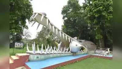 With Night Safari project moving ahead, Kukrail could emerge as Lucknow's newest eco-tourism