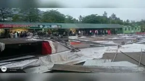 Police, forest dept probe Thekkady pandal collapse — Wildlife Week celebrations