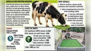 With drought threatening to shrink fodder availability and push up: The wider industry impact