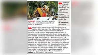 Elephant incident sparks inquiry and safety debate