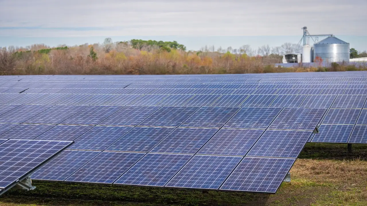 In 2019, a Nevada farmer used solar panels to irrigate 500 acres: The wider industry impact