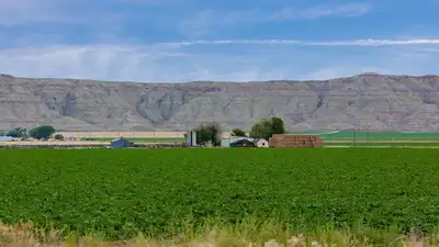 In 2019, a Nevada farmer used solar panels to irrigate 500 acres: The wider industry impact
