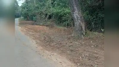 But in many villages in Chikkamagaluru district, desilting is now: The wider industry impact