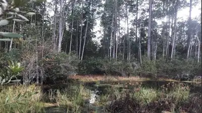Florida approved more than $72.6 million to protect 10,770 acres: The wider industry impact