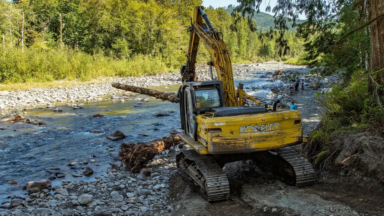 In 2022, Washington replaced conventional riverbank defenses with engineered log structures