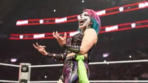 Her biggest source of income has been her long-running WWE career