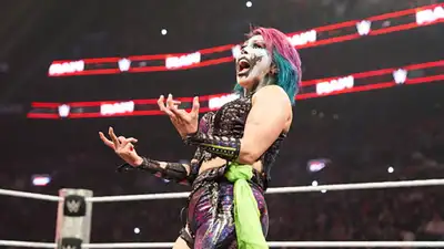 Her biggest source of income has been her long-running WWE career