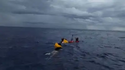 British woman dies trying to rescue sons swept away by strong current while snorkelling in Bahamas