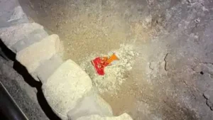 In 2023, a visitor dropped a Cheetos bag in Carlsbad Caverns' major Room in New Mexico; it