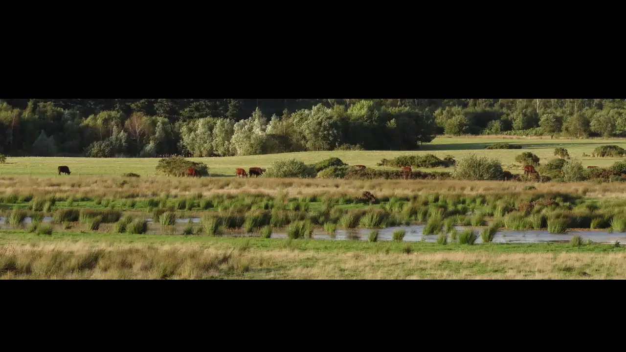 A WWII airfield once used by Britain's famous Dambusters was later: The wider industry impact