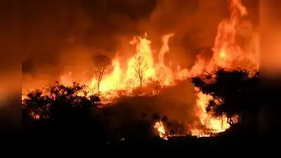Eastern Ghats see rising wildfires, Western Ghats record 10.8%: The wider industry impact