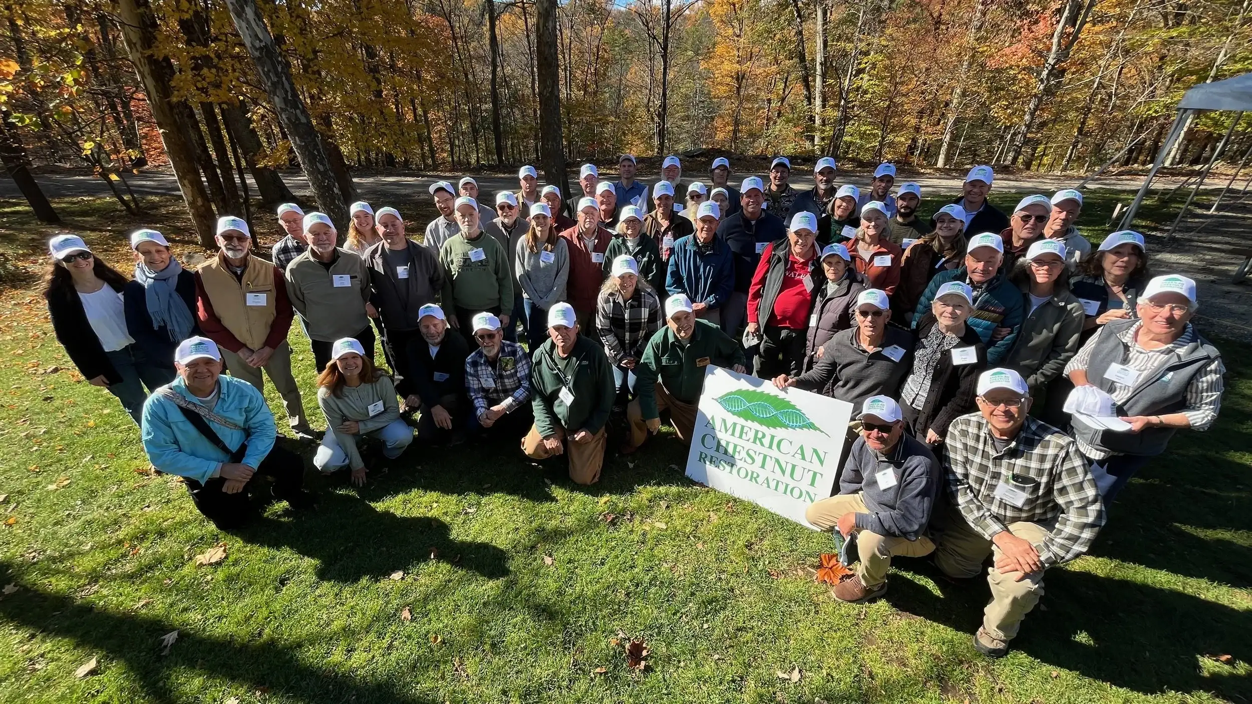 American chestnut trees are returning to the Bronx Zoo more than 120 years after the blight was