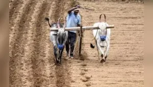 Govt sources told TOI that energy, agriculture and water resources departments jointly mooted