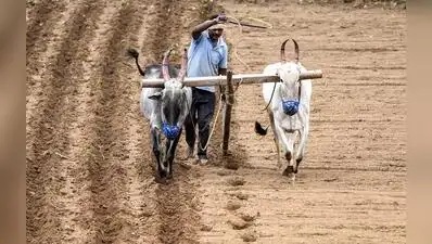 Govt sources told TOI that energy, agriculture and water resources departments jointly mooted