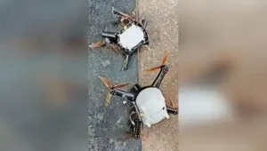 “It appears the two drones that entered Churchgate station couldn’t be controlled by the event