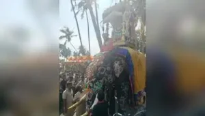 Dhananjaya carried the nearly 500kg wooden howdah from Banni Mantap at Kiranguru