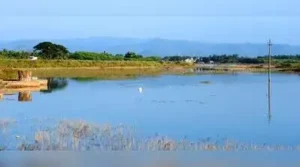 Karnataka govt has proposed standardised buffer-zone regulations: The wider industry impact