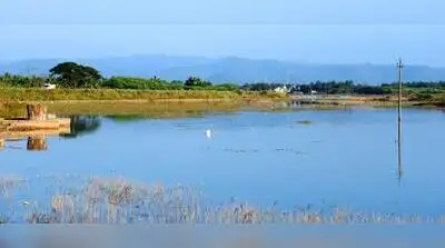 Karnataka govt has proposed standardised buffer-zone regulations: The wider industry impact