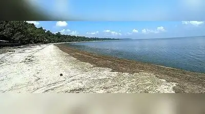 Pilibhit's Ramsar bid stalls as irrigation dept withholds dam data: The wider industry impact