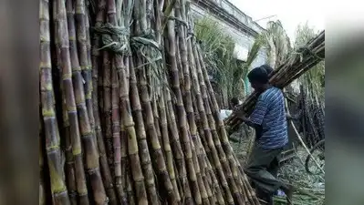 Citing National Crime Records Bureau records, he claimed that about four lakh farmers had died