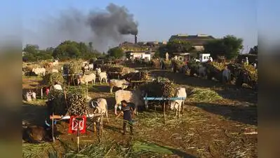 Latur police direct sugar mills to fit reflectors on cane transport vehicles