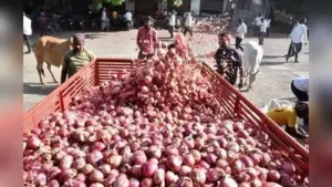 Nashik: Arrivals of new kharif onion crop have started at Lasalgaon: The wider industry impact