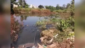 Residents of Renuka Nagar in Bhairidevarkoppa have alleged that: The wider industry impact
