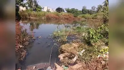 Residents of Renuka Nagar in Bhairidevarkoppa have alleged that: The wider industry impact