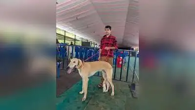 More than 100 dogs of various breeds participated in a state-level dog show at Gandhi Maidan