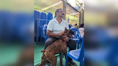 More than 100 dogs of various breeds participated in a state-level dog show at Gandhi Maidan