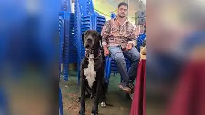 More than 100 dogs of various breeds participated in a state-level dog show at Gandhi Maidan