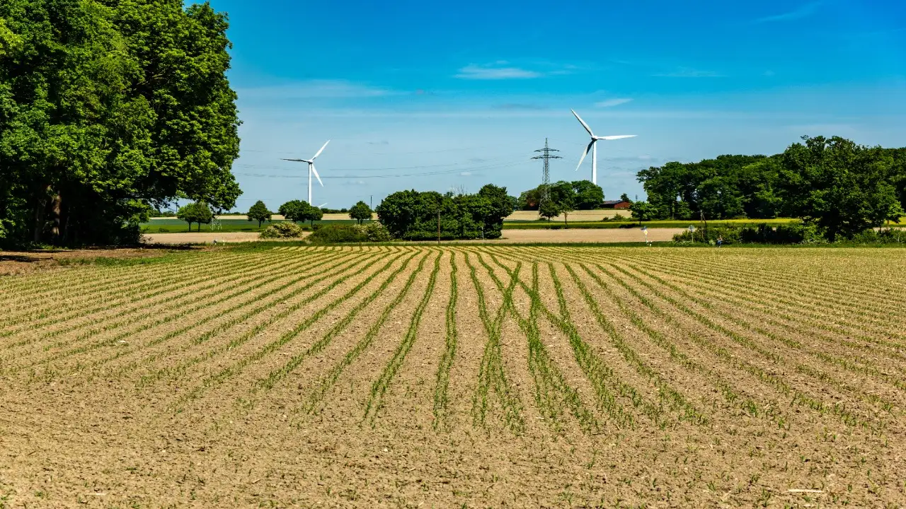 As per Farm and Dairy, Perkoski’s dairy installation comes: The wider industry impact