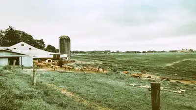 As per Farm and Dairy, Perkoski’s dairy installation comes: The wider industry impact
