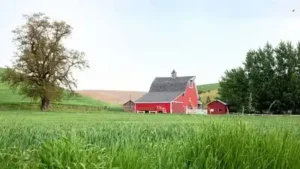 For 84 years, the Woods family lived on and worked a growing: The wider industry impact