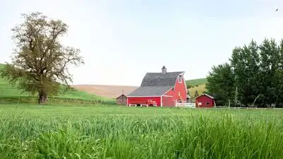 For 84 years, the Woods family lived on and worked a growing: The wider industry impact