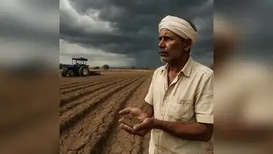 Rabi Sowing on hold as farmers wait for post-monsoon showers: The wider industry impact