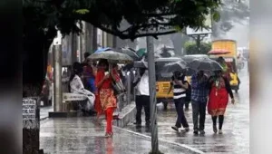Chennai received little rain in the latest 24-hour period, with IMD: The wider industry impact