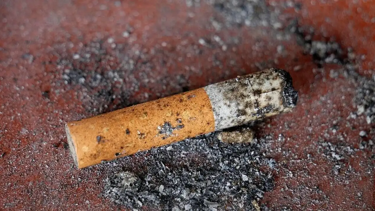 In cigarette-butt asphalt tests, researchers found a 1.5%: The wider industry impact
