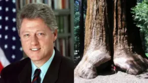 President Bill Clinton created California's Giant Sequoia National Monument on April 15, 2000