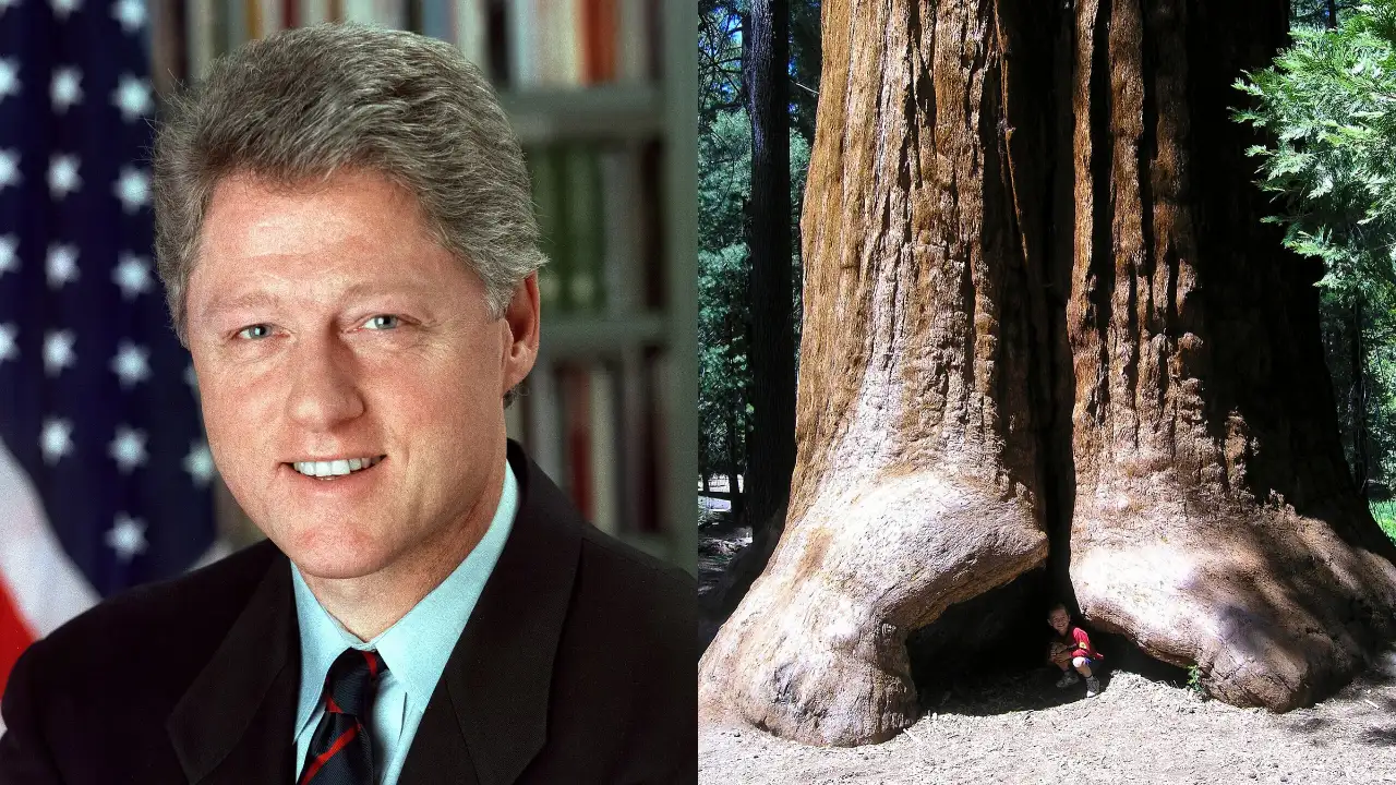 President Bill Clinton created California's Giant Sequoia National Monument on April 15, 2000