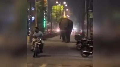 Wild tusker strays into Puranpur town, causes panic