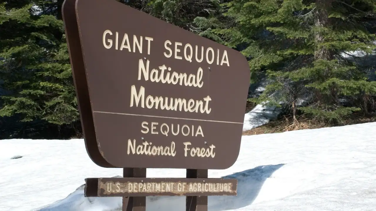 President Bill Clinton created California's Giant Sequoia National Monument on April 15, 2000