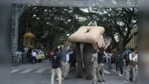 Mahendra Wooden howdah was dismounted from Dasara tusker Mahendra: The wider industry impact