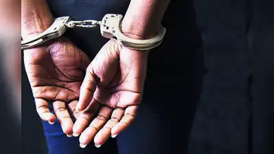 Kochi : Two brothers were on Sunday arrested for allegedly stealing a bag containing gold