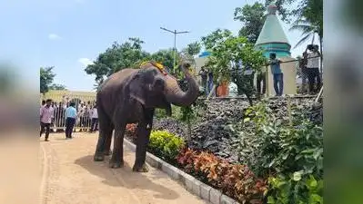 SC argues no to re-transfer of elephant Madhuri to Vantara: The wider industry impact