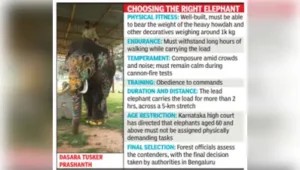 Mysuru: With Mahendra failing the endurance test, Karnataka forest officials must now choose